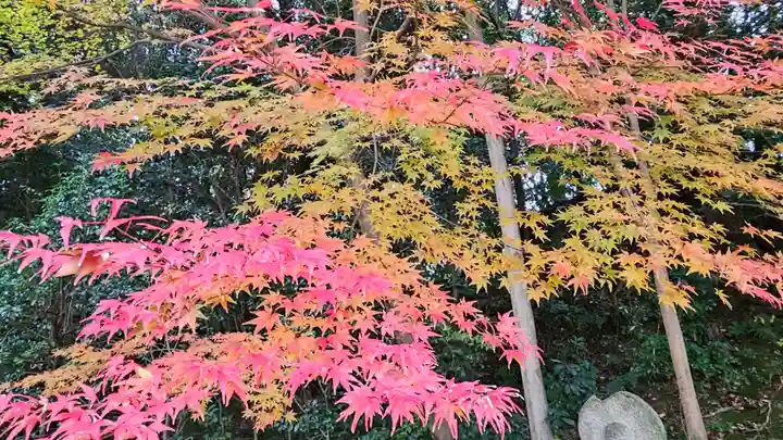 白毫寺(奈良県)