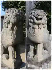 鎮宅霊符神社の狛犬