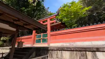 春日大社 若宮（春日若宮）(奈良県)