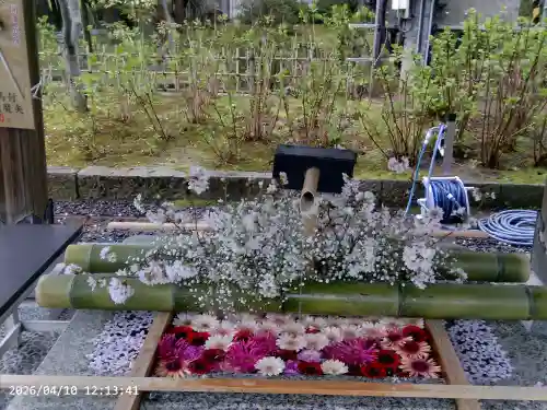 白山神社の{uncategorized: "未分類", other: "その他", undefined: "問題あり", building: "その他建物", grave: "お墓", sacred_gate: "鳥居", guardian: "狛犬", statue: "像", buddha: "仏像", history: "歴史", nature: "自然", garden: "庭園", animal: "動物", pagoda: "塔", temizu: "手水舎", mountain_gate: "山門・神門", sanctuary: "本殿・本堂", subordinate: "末社・摂社", art: "芸術", scenery: "景色", jizo: "地蔵", ema: "絵馬", goshuin: "御朱印", omikuji: "おみくじ", items: "授与品その他", amulet: "お守り", goshuincho: "御朱印帳", eats: "食事", festival: "お祭り", votive_dance: "神楽", shichigosan: "七五三参", wedding: "結婚式", experience: "体験その他", initially: "初詣", around: "周辺", anti_infection: "感染症対策"}