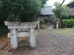 素盞嗚神社 -輪くぐりさん-の鳥居