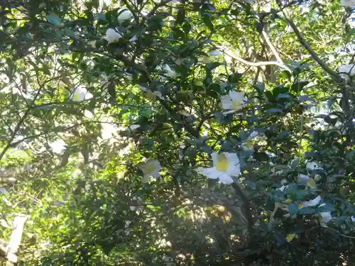 安國論寺（安国論寺）の自然