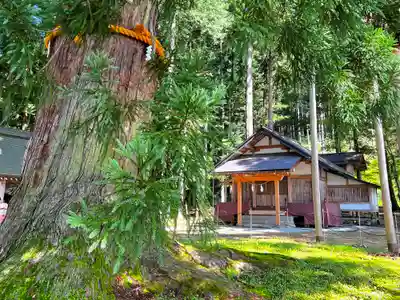 槻本神社(岐阜県)