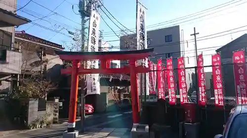 白魚稲荷神社の鳥居