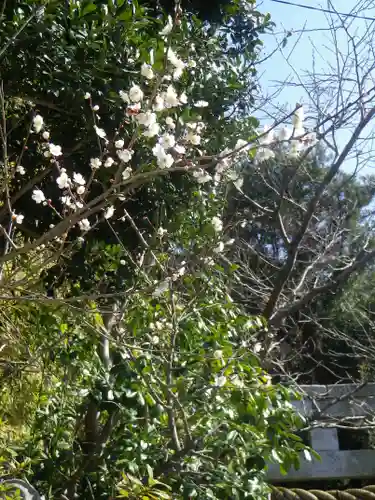 八雲神社（鎌倉・大町）の自然