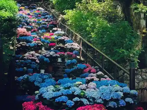 長谷寺のその他建物