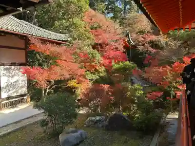 毘沙門堂門跡(京都府)