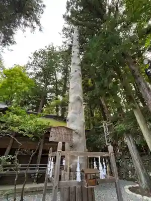 諏訪大社下社春宮(長野県)