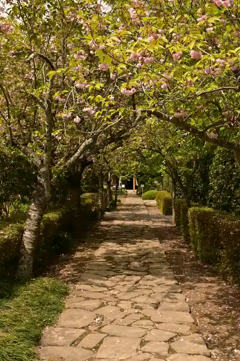 菊水寺(埼玉県)