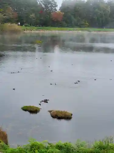 飯綱神社(長野県)