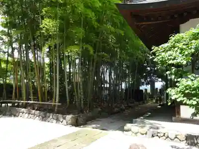 常福寺の自然