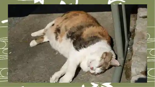 賀茂別雷神社(栃木県)