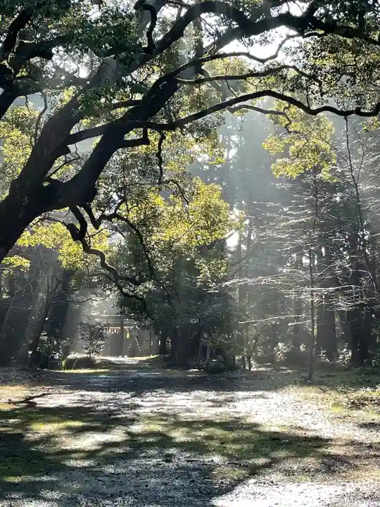 曽許乃御立神社(静岡県)