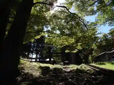 諏訪大社上社前宮(長野県)