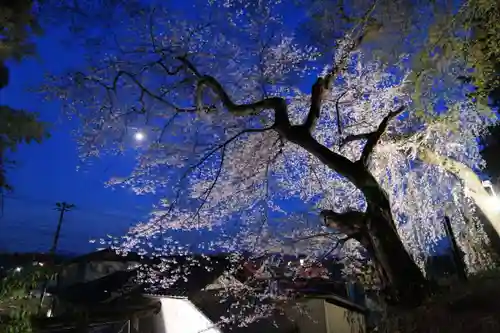 田村神社の庭園