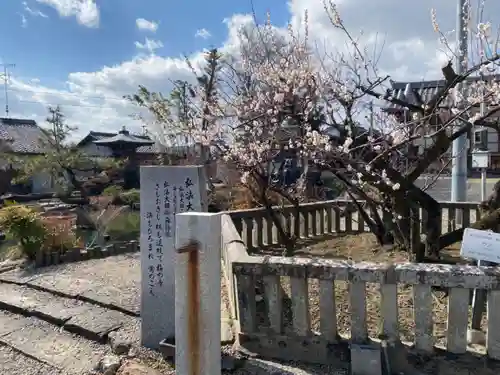 乙津寺　（鏡島弘法）の自然