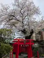 白山神社(東京都)