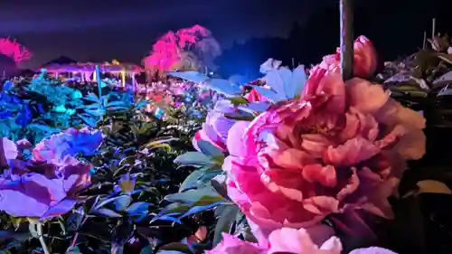 金蛇水神社(宮城県)