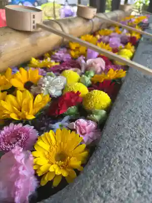 群馬県護国神社(群馬県)