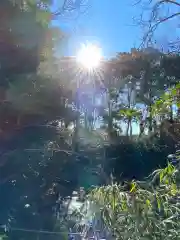 鷲宮神社の自然