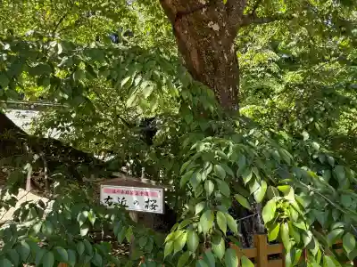 水戸八幡宮(茨城県)