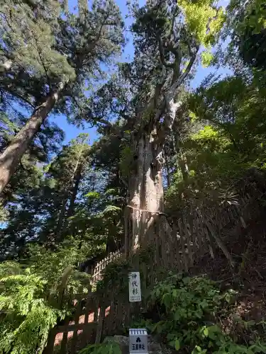 玉置神社の{uncategorized: "未分類", other: "その他", undefined: "問題あり", building: "その他建物", grave: "お墓", sacred_gate: "鳥居", guardian: "狛犬", statue: "像", buddha: "仏像", history: "歴史", nature: "自然", garden: "庭園", animal: "動物", pagoda: "塔", temizu: "手水舎", mountain_gate: "山門・神門", sanctuary: "本殿・本堂", subordinate: "末社・摂社", art: "芸術", scenery: "景色", jizo: "地蔵", ema: "絵馬", goshuin: "御朱印", omikuji: "おみくじ", items: "授与品その他", amulet: "お守り", goshuincho: "御朱印帳", eats: "食事", festival: "お祭り", votive_dance: "神楽", shichigosan: "七五三参", wedding: "結婚式", experience: "体験その他", initially: "初詣", around: "周辺", anti_infection: "感染症対策"}