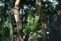 阿久津「田村神社」(郡山市阿久津町)旧社名:伊豆箱根三嶋三社の歴史