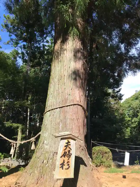 明石寺の自然
