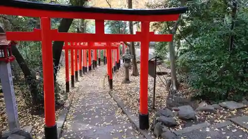 御霊神社（上御霊神社）の鳥居