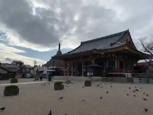 壬生寺の本殿・本堂