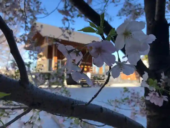 螢雪天神の本殿・本堂