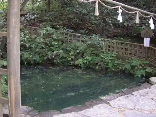 八重垣神社の庭園