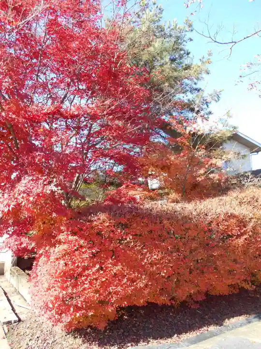 会津薬師寺(福島県)