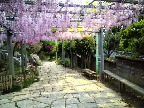 阿智神社の自然