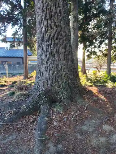 稲荷神社(栃木県)