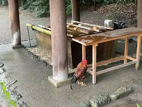 八剣宮（熱田神宮別宮）(愛知県)