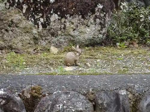 日蓮宗 総本山 塔頭 定林坊(じょうりんぼう)の狛犬