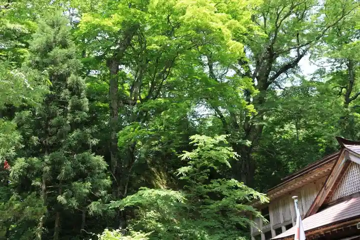 隠津島神社の自然