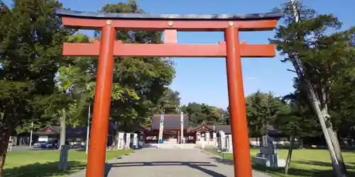 北海道護國神社の鳥居