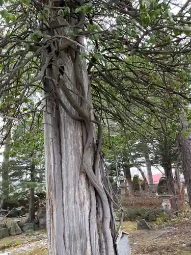 山部神社の御朱印