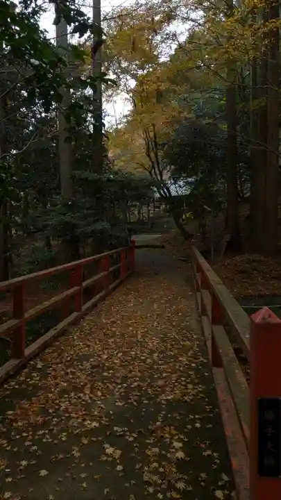 勝手神社(京都府)