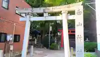 白山神社(大須白山神社)の鳥居