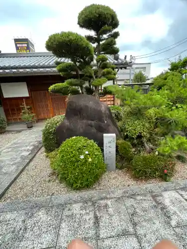 来迎寺の庭園