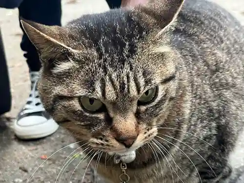 中尊寺(岩手県)