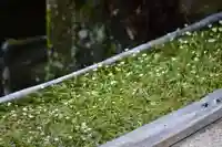 醒井延命地蔵尊(滋賀県)