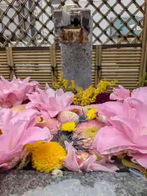 永代寺(東京都)