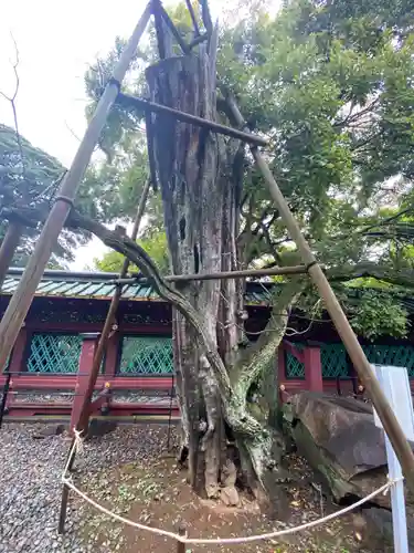 上野東照宮(東京都)