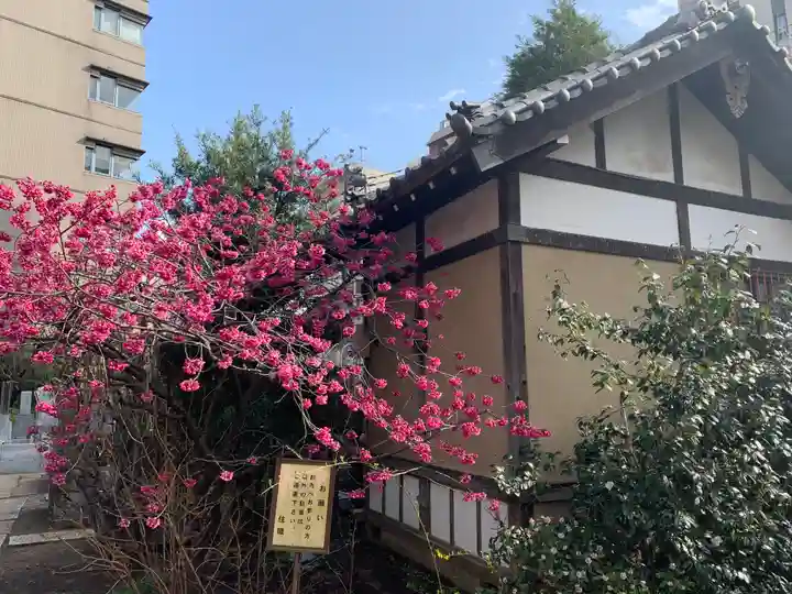 善性寺(東京都)