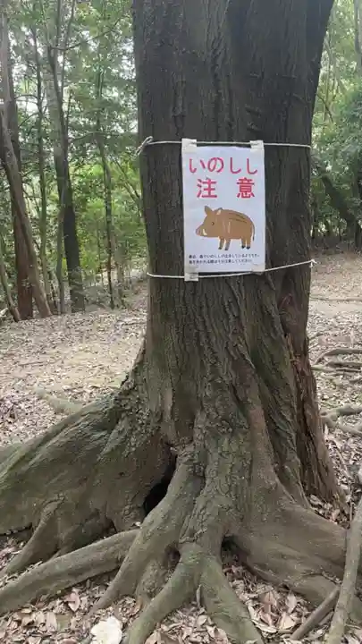 美具久留御魂神社(大阪府)