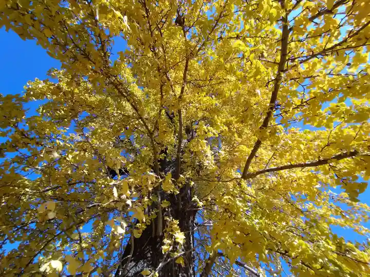 浄光寺(愛知県)